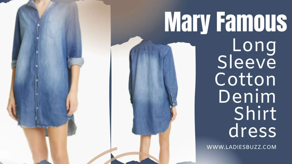 Mary Famous Long Sleeve Cotton Denim Shirtdress